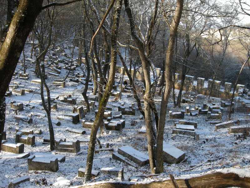 KrimNY0809_06.jpg