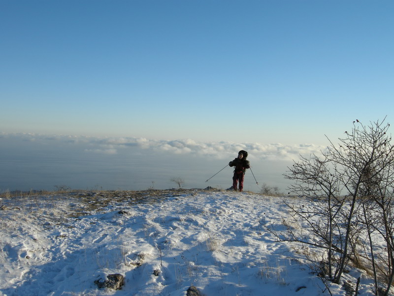 KrimNY0809_16.jpg