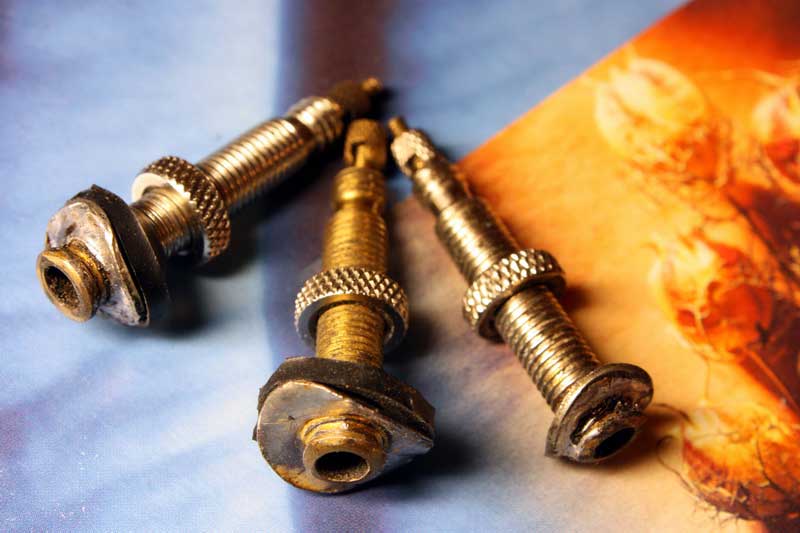 tubeless-valves-by-mamont.JPG