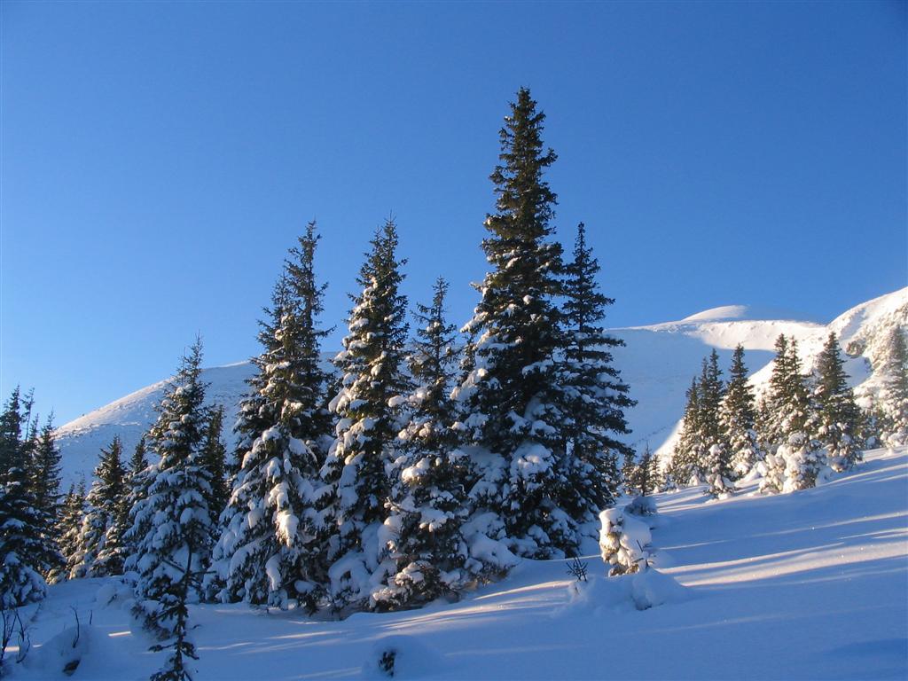 IMG_0070_Aieuoie.jpg