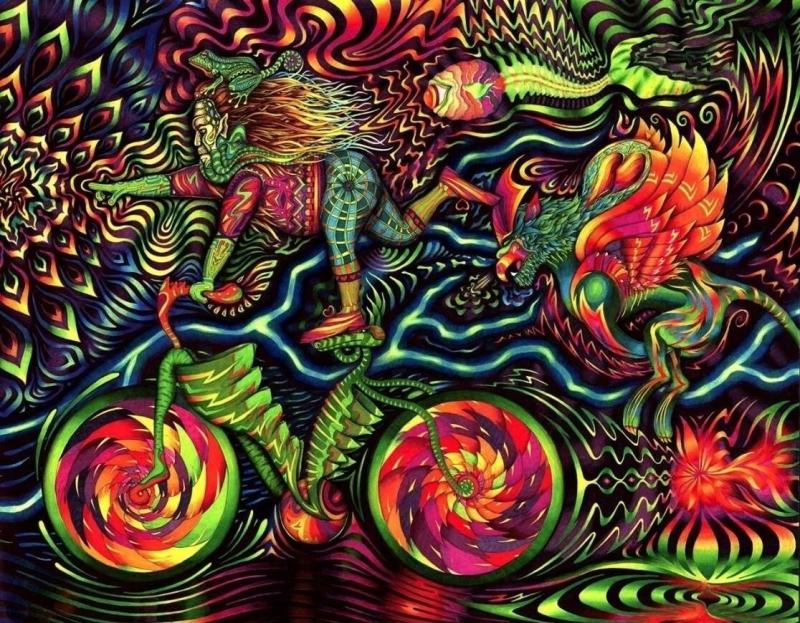 17973523_1408080302568519_6737450262140369114_o_1.jpg