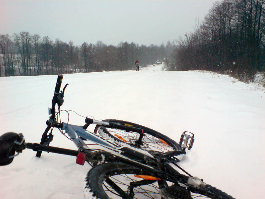 DSC00534.jpg