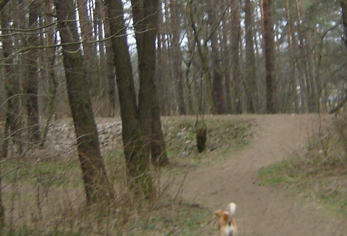 25.02_vilet.jpg