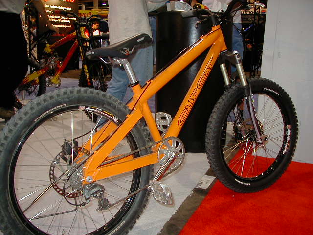 Cliff20Cat2003.jpg