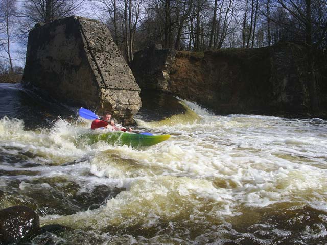 S4015211.jpg