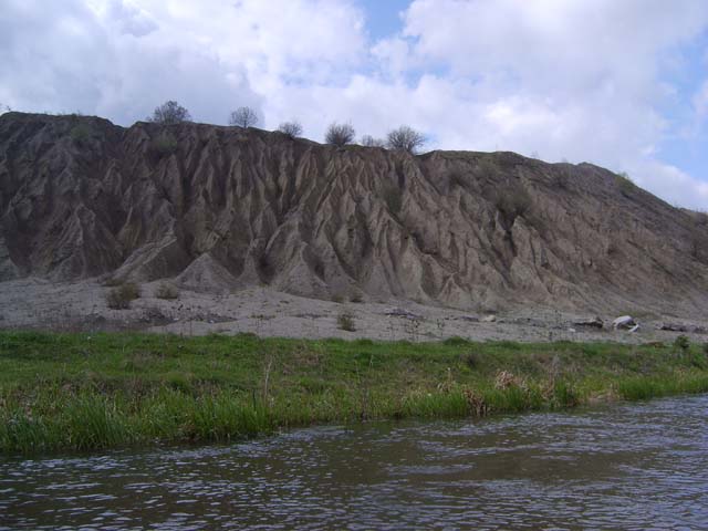 17.04.2008_04_59_00.jpg