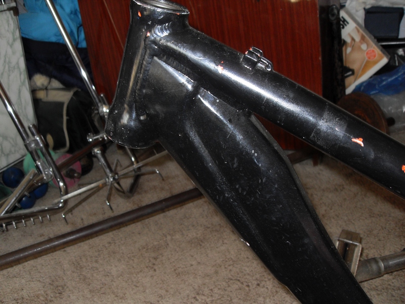 SDC13002.JPG
