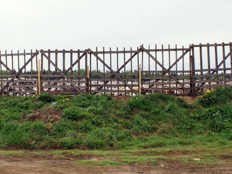 DSC06275_resize.jpg