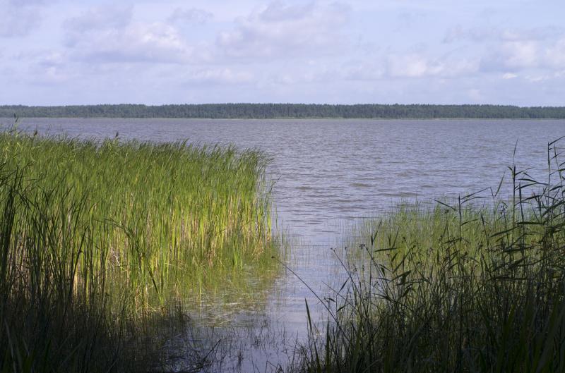 IMGP7165.jpg