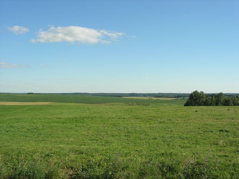 DSCN0330.JPG